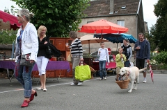 La Grande Fouille 2012 - Rougemont (61)